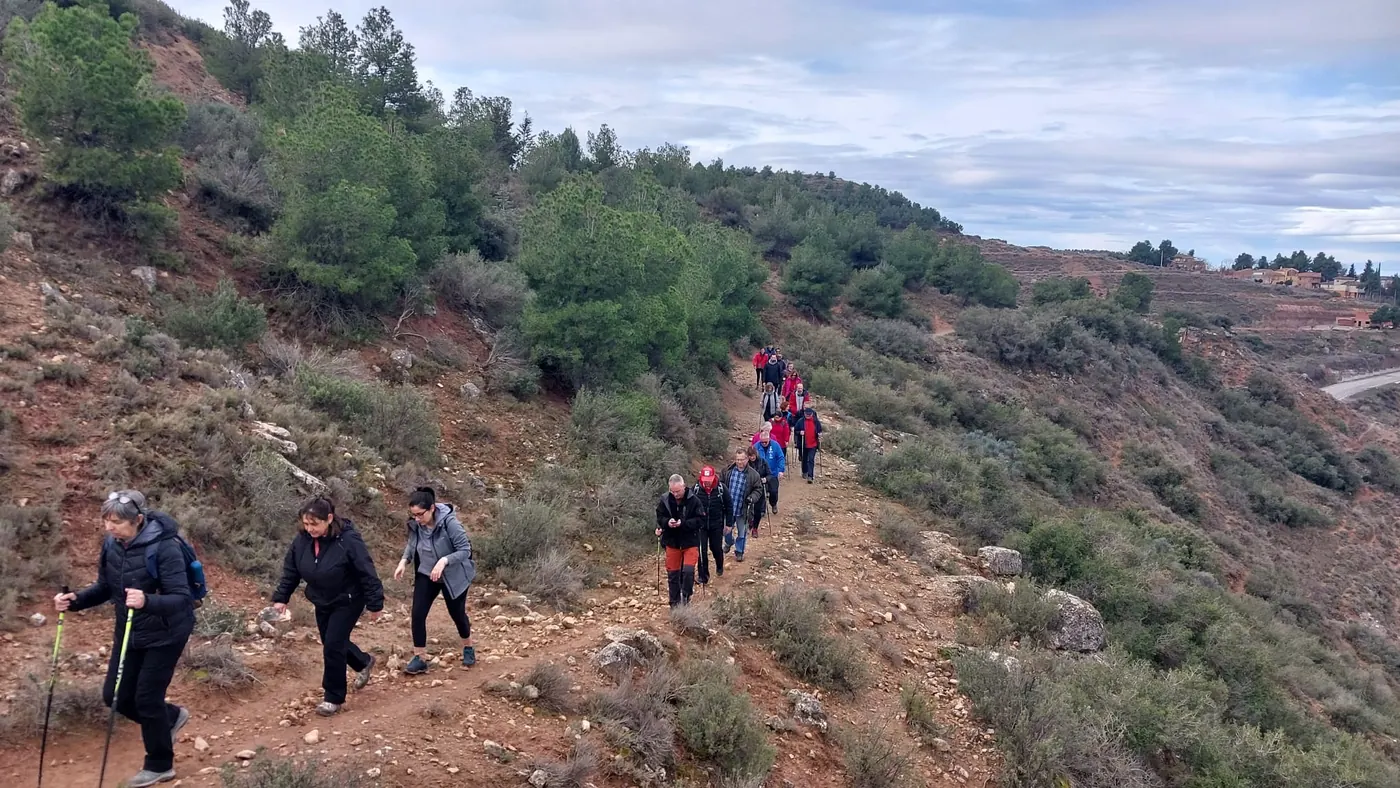 Activitat esportiva del Consell