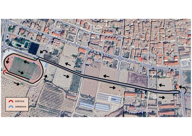 Escuela de atletismo